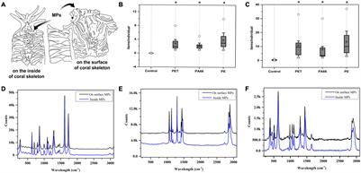 Effects of Microplastics Exposure on the Acropora sp. Antioxidant, Immunization and Energy Metabolism Enzyme Activities